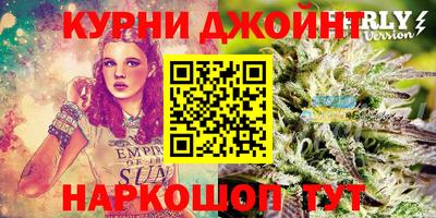 гидропоника Пенза