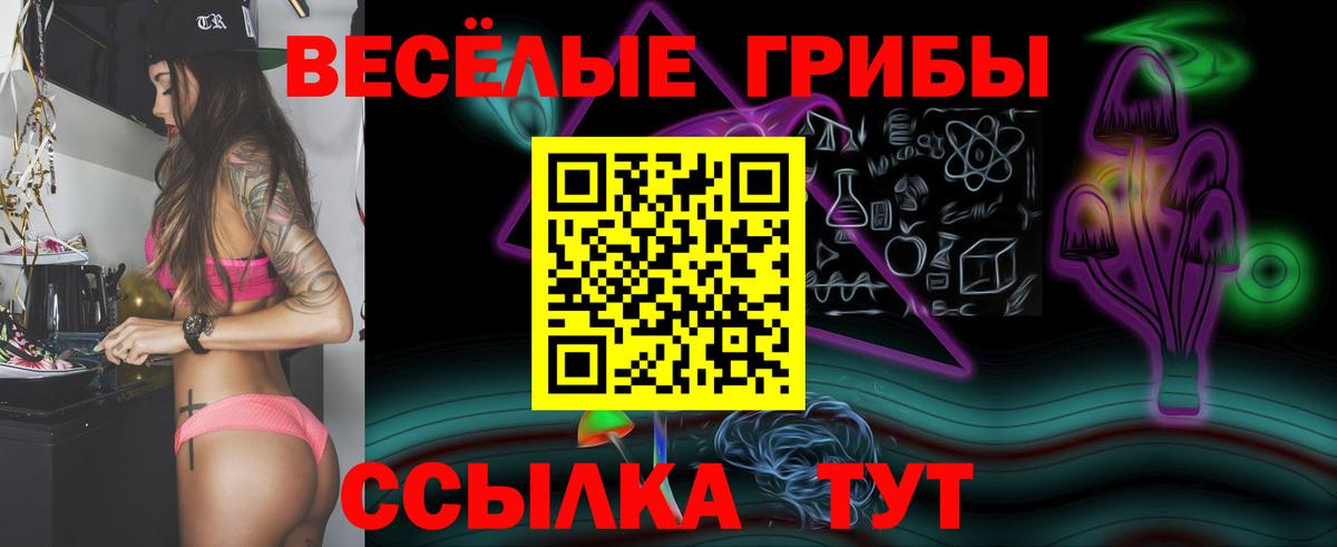Семёнов  Псилоцибиновые грибы Psilocybe  Вход с VPN 
